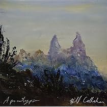 Bill Callahan - Sometimes I Wish We Were an Eagle - Amazon